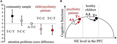 Differential Genetic Effect of the Norepinephrine Transporter Promoter Polymorphisms on Attention Problems in Clinical and Non-clinical Samples